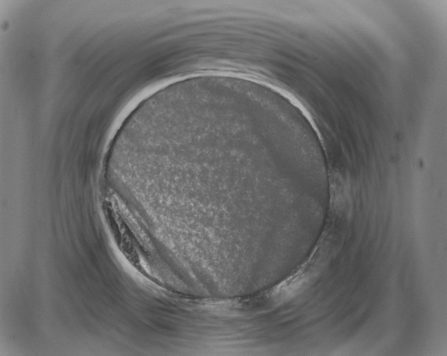 X0000085041531200704021241