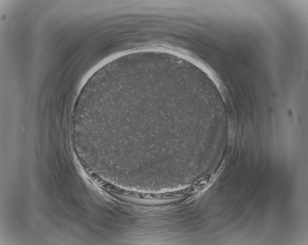 X0000085041534200704021241