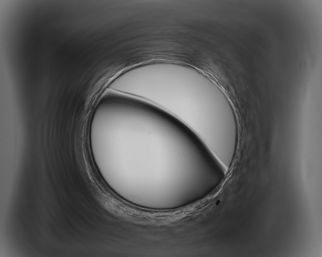 X0000085050001200703051054