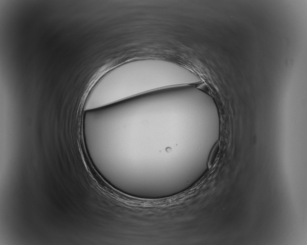 X0000085050003200703051054