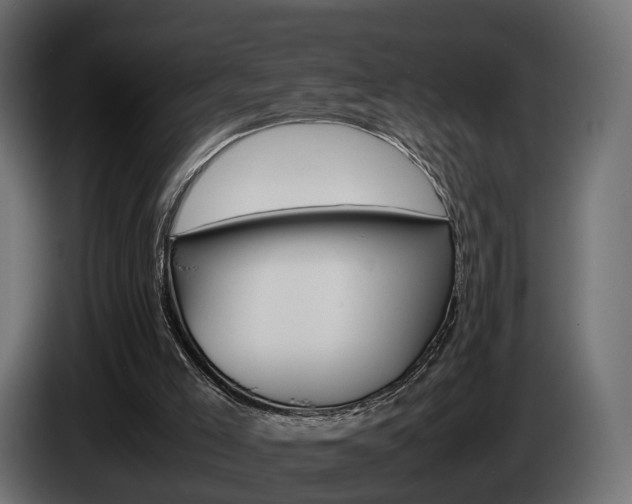 X0000085050005200703051054