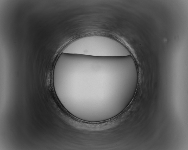 X0000085050010200703051054