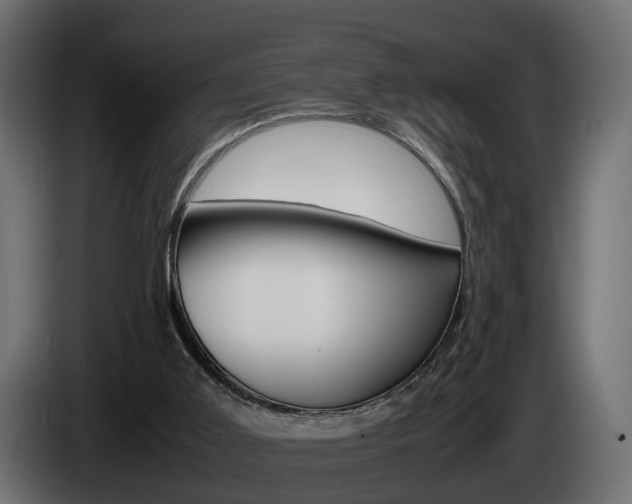X0000085050011200703051054