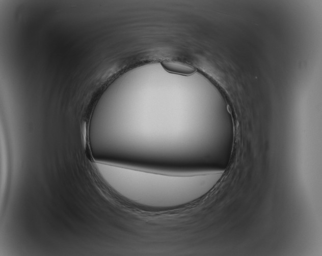 X0000085050013200703051054