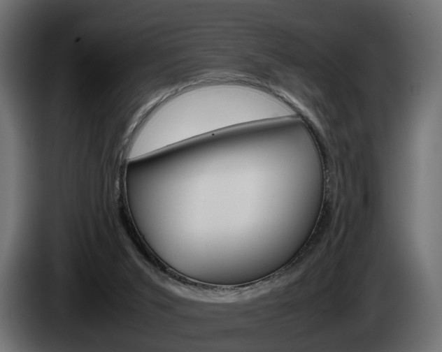 X0000085050015200703051054