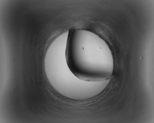X0000085050019200703051054