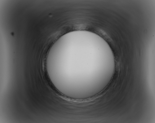 X0000085050026200703051054