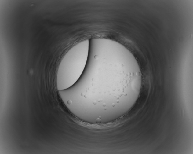X0000085050030200703051054