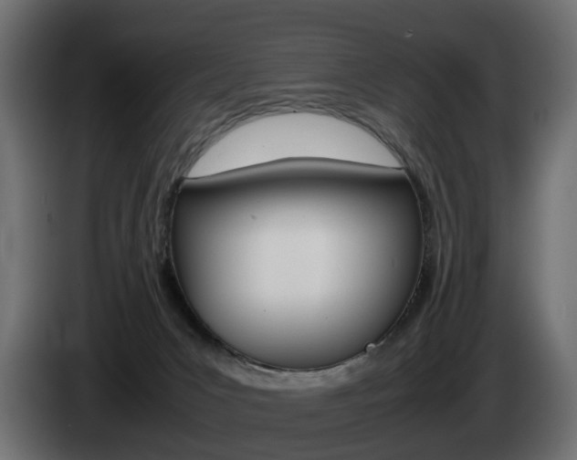 X0000085050031200703051054