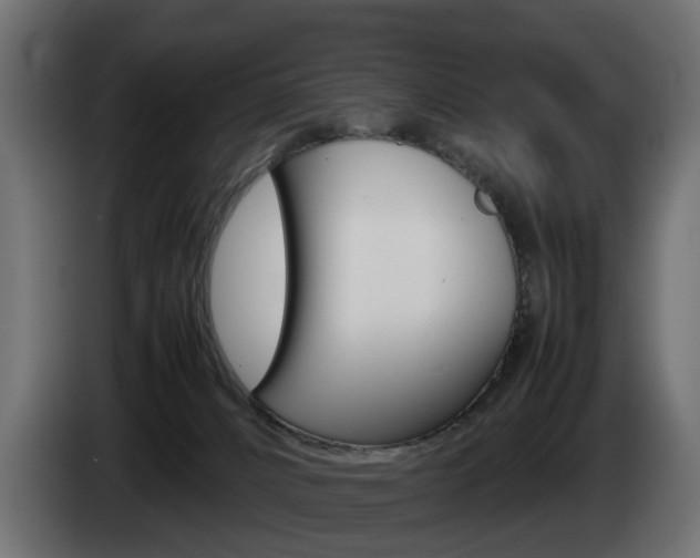 X0000085050032200703051054