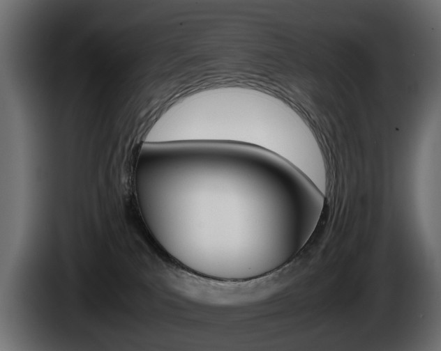 X0000085050039200703051054