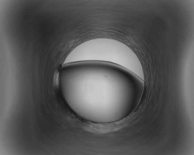 X0000085050041200703051054