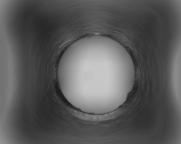X0000085050043200703051054