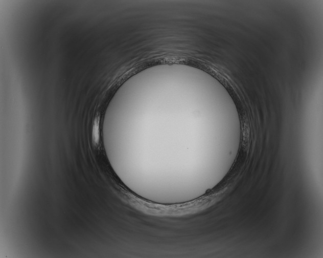 X0000085050046200703051053