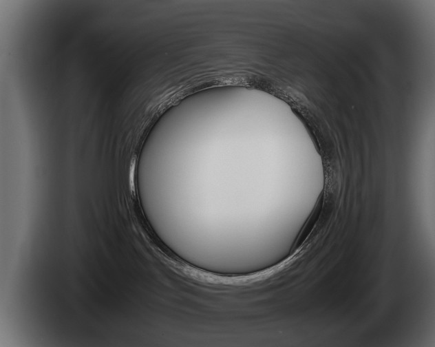 X0000085050047200703051053