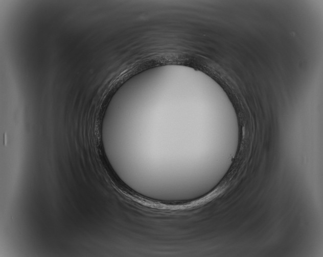X0000085050048200703051053