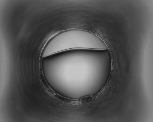 X0000085050050200703051053