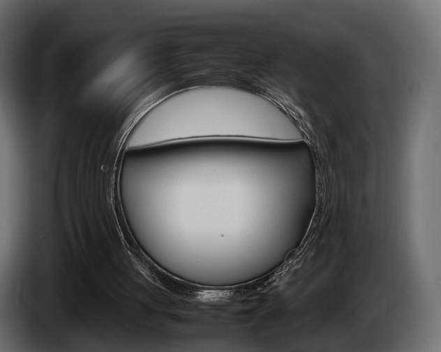X0000085050051200703051053
