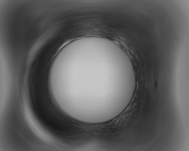 X0000085050052200703051053