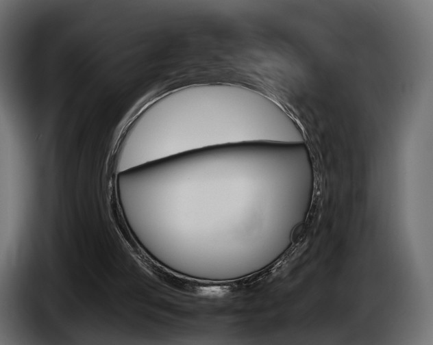X0000085050053200703051053