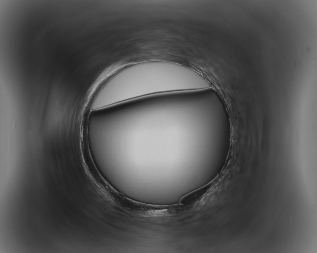 X0000085050054200703051053
