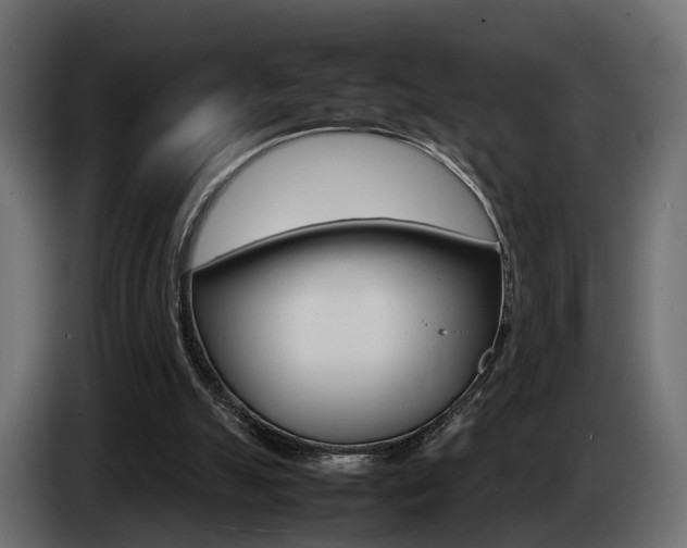 X0000085050055200703051053