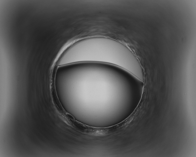 X0000085050056200703051053