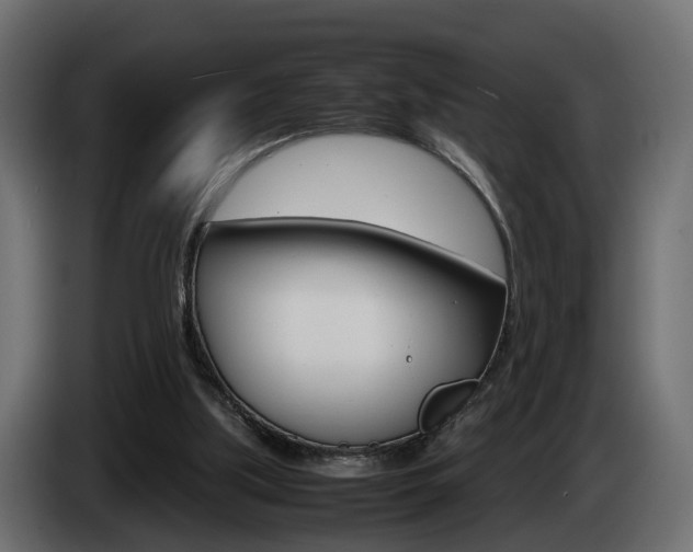 X0000085050059200703051053