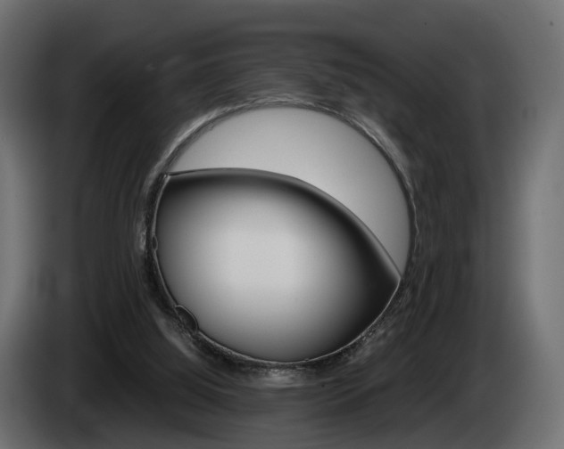 X0000085050060200703051053