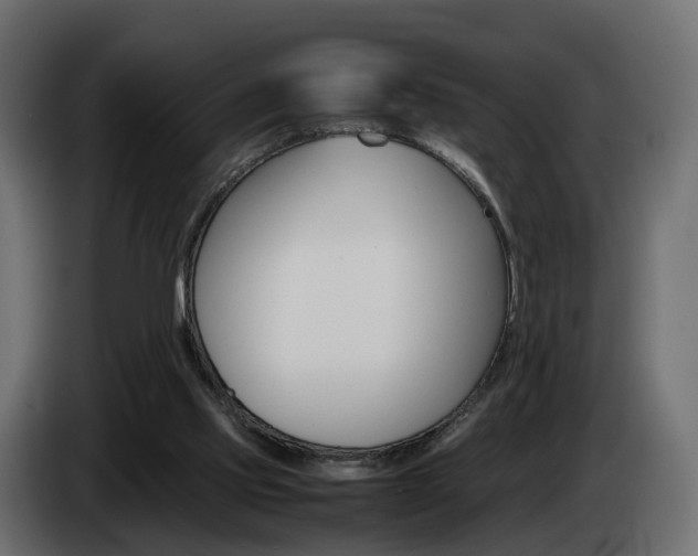 X0000085050061200703051053