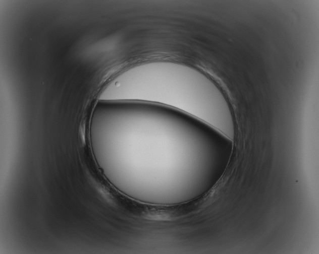 X0000085050062200703051053