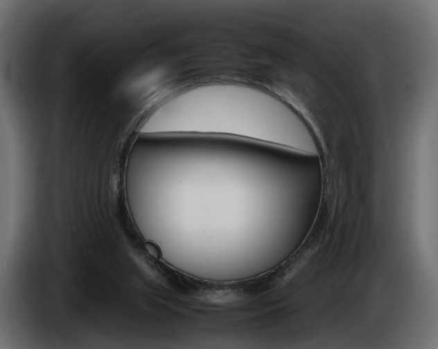 X0000085050063200703051053
