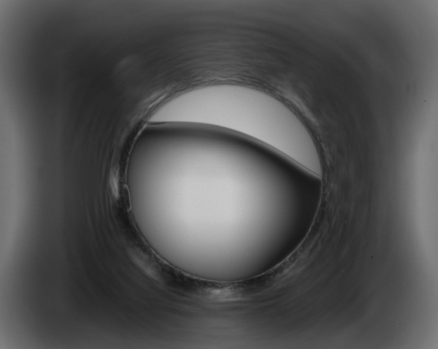 X0000085050068200703051053
