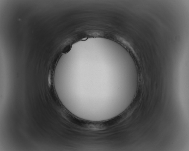 X0000085050069200703051053