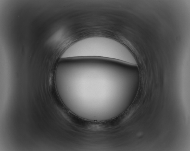 X0000085050071200703051053