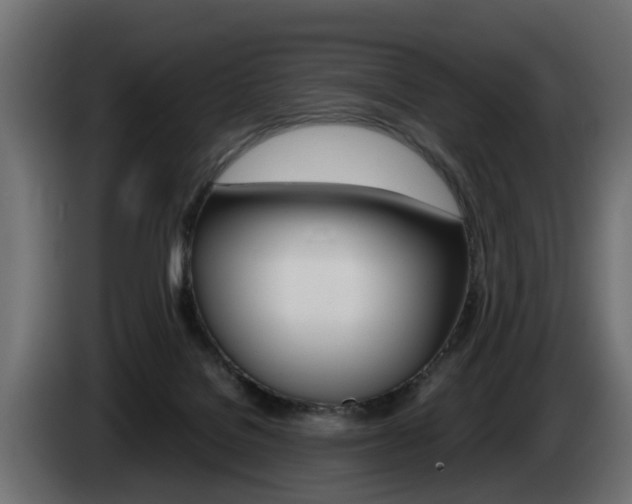 X0000085050076200703051053