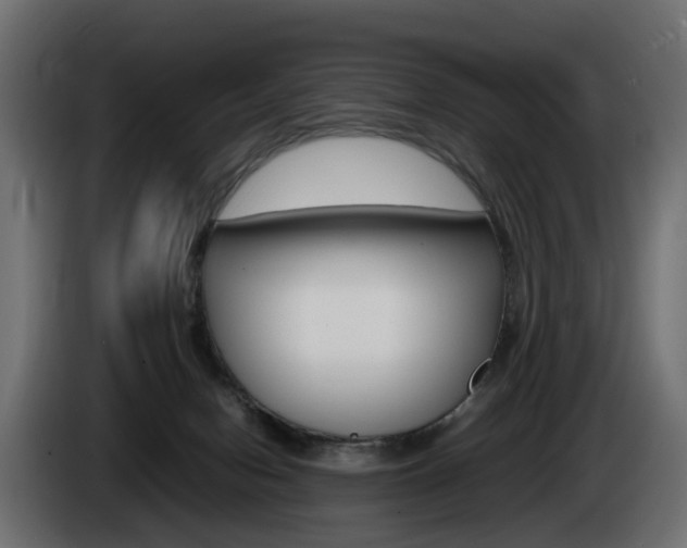 X0000085050078200703051053