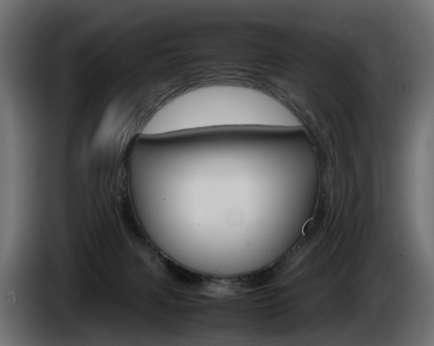 X0000085050079200703051053