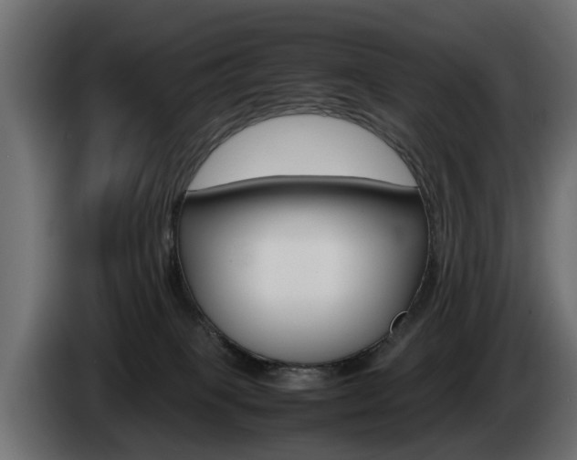 X0000085050085200703051053
