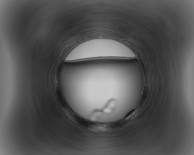 X0000085050086200703051053