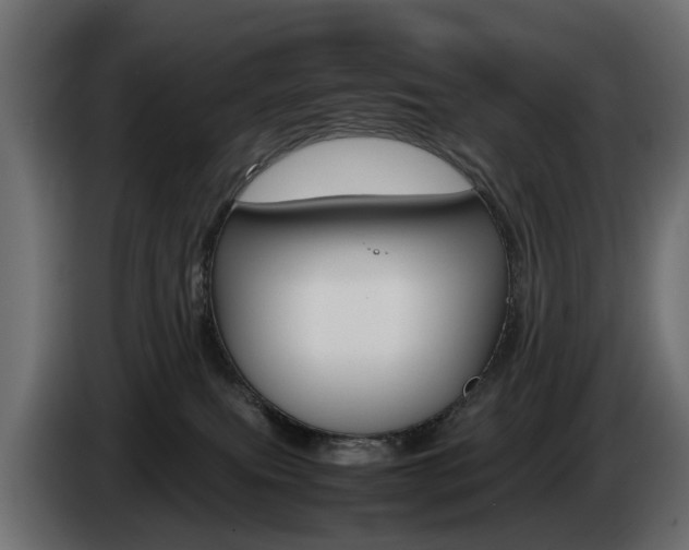 X0000085050087200703051053
