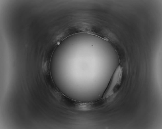 X0000085050088200703051053