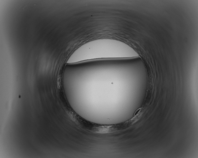 X0000085050090200703051053