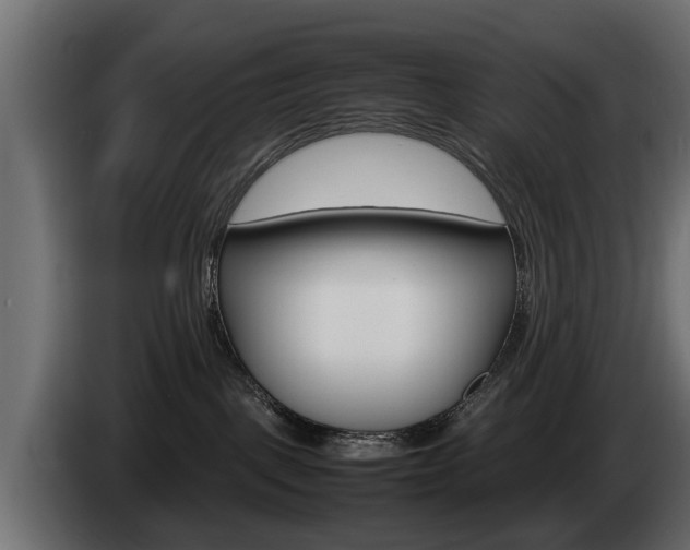 X0000085050093200703051053