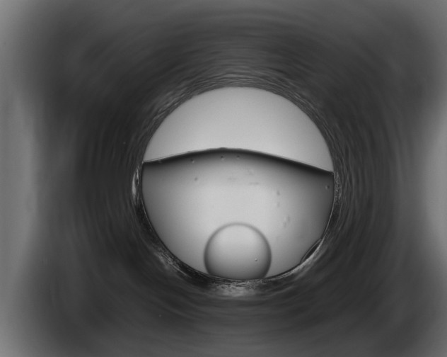 X0000085050094200703051053