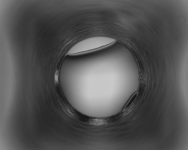 X0000085050095200703051053