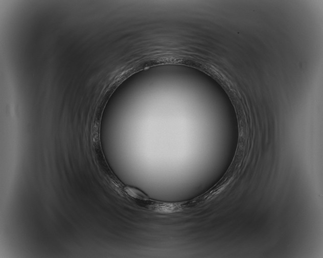 X0000085050096200703051053