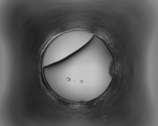 X0000085050098200703051053