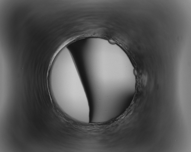 X0000085050100200703051053
