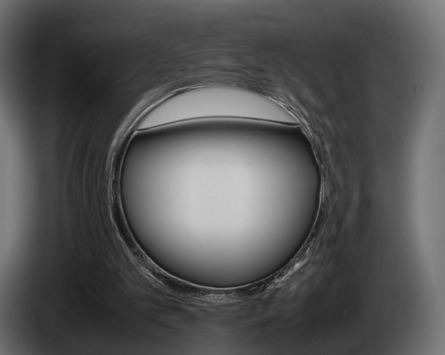 X0000085050101200703051053